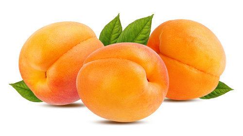 ALBICOCCHE 