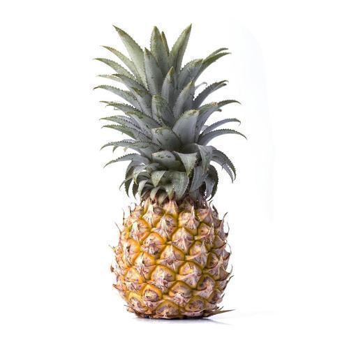 ANANAS MATURATO IN PIANTA 6/7