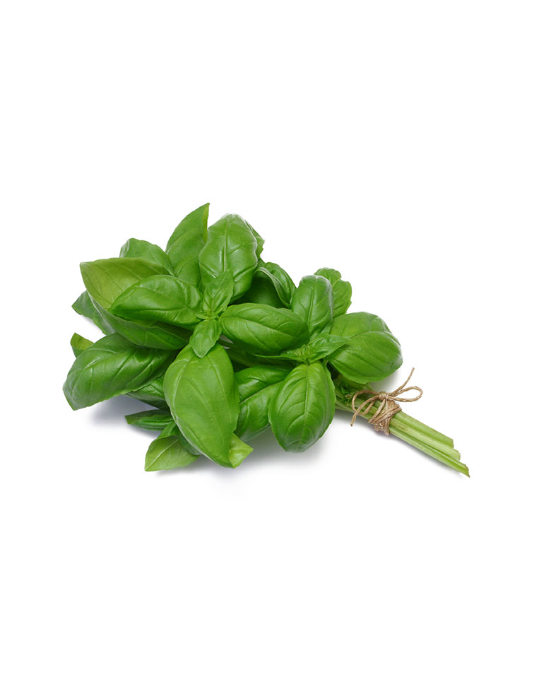 BASILICO SFUSO 