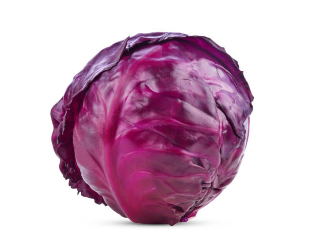 CAPPUCCI VIOLA