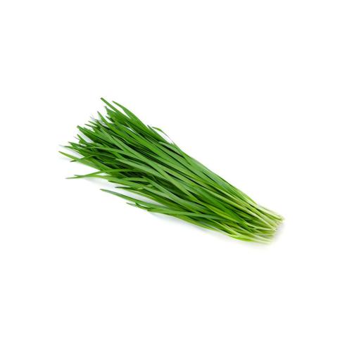 ERBA CIPOLLINA  SFUSA COLLO