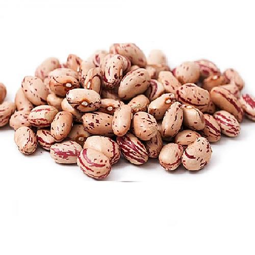 FAGIOLI  BORLOTTI LAMON  X 5 KG