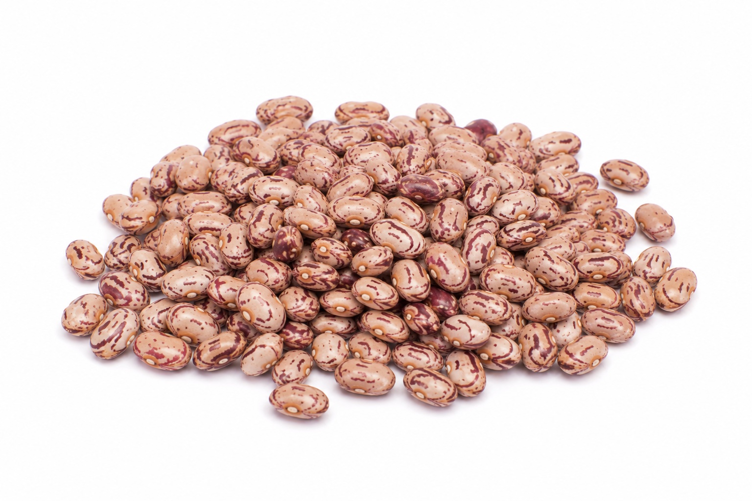 FAGIOLI  BORLOTTI LAMON  X 10 KG