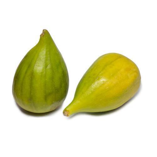 FICHI NERI