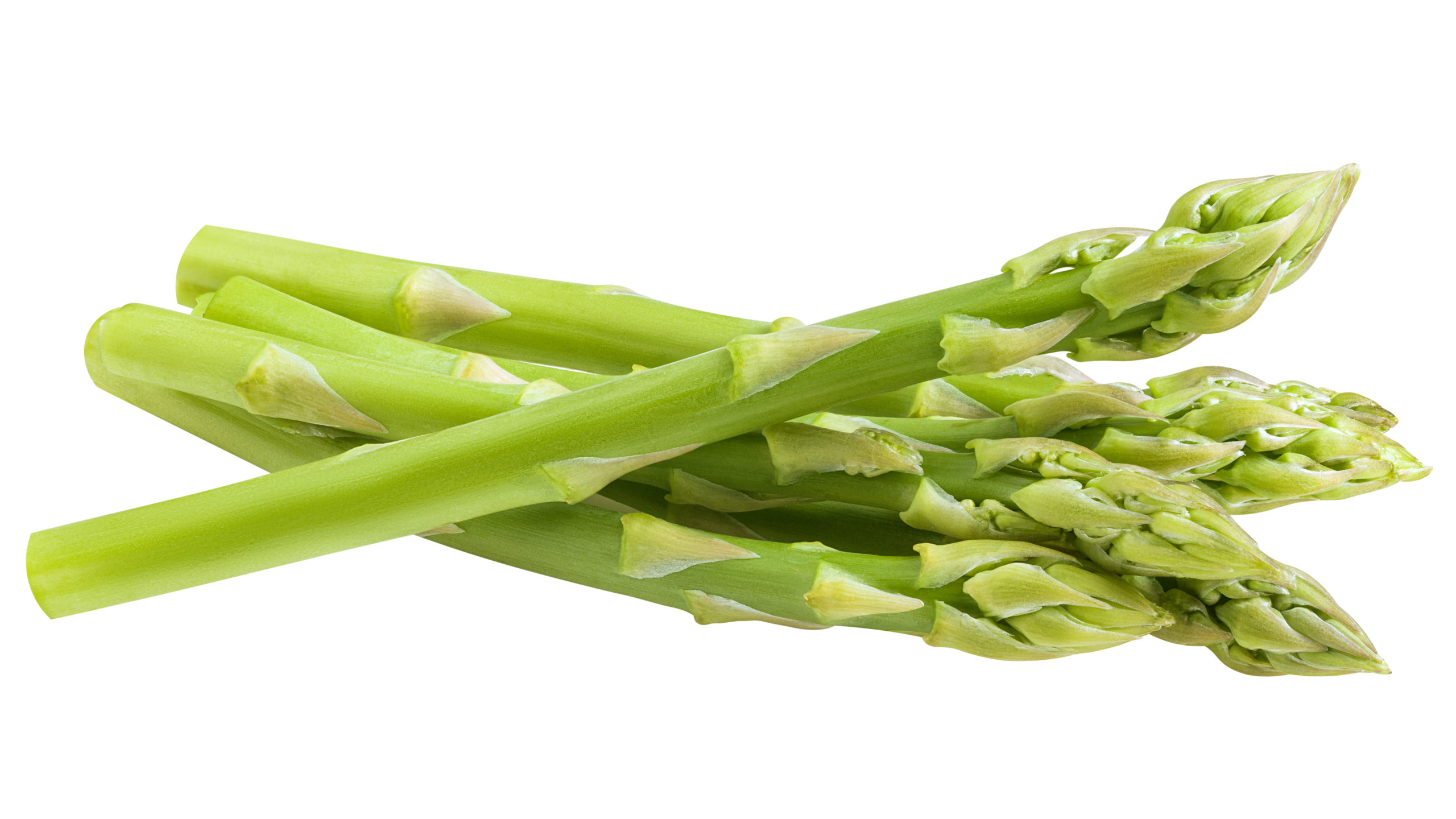 ASPARAGI PUNTE MEDIE